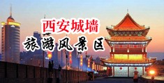 日逼高潮啊啊啊啊视频中国陕西-西安城墙旅游风景区